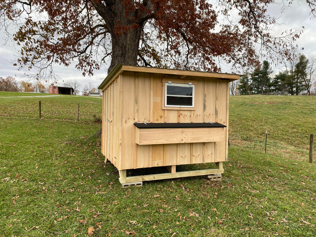 4 Ways to Insulate Your Chicken Coop for Extreme Weather Conditions ... 4 Ways to Insulate Your Chicken Coop for Extreme Weather Conditions ...